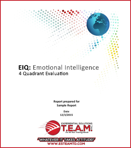 Click for Sample Emotional Intelligence Report